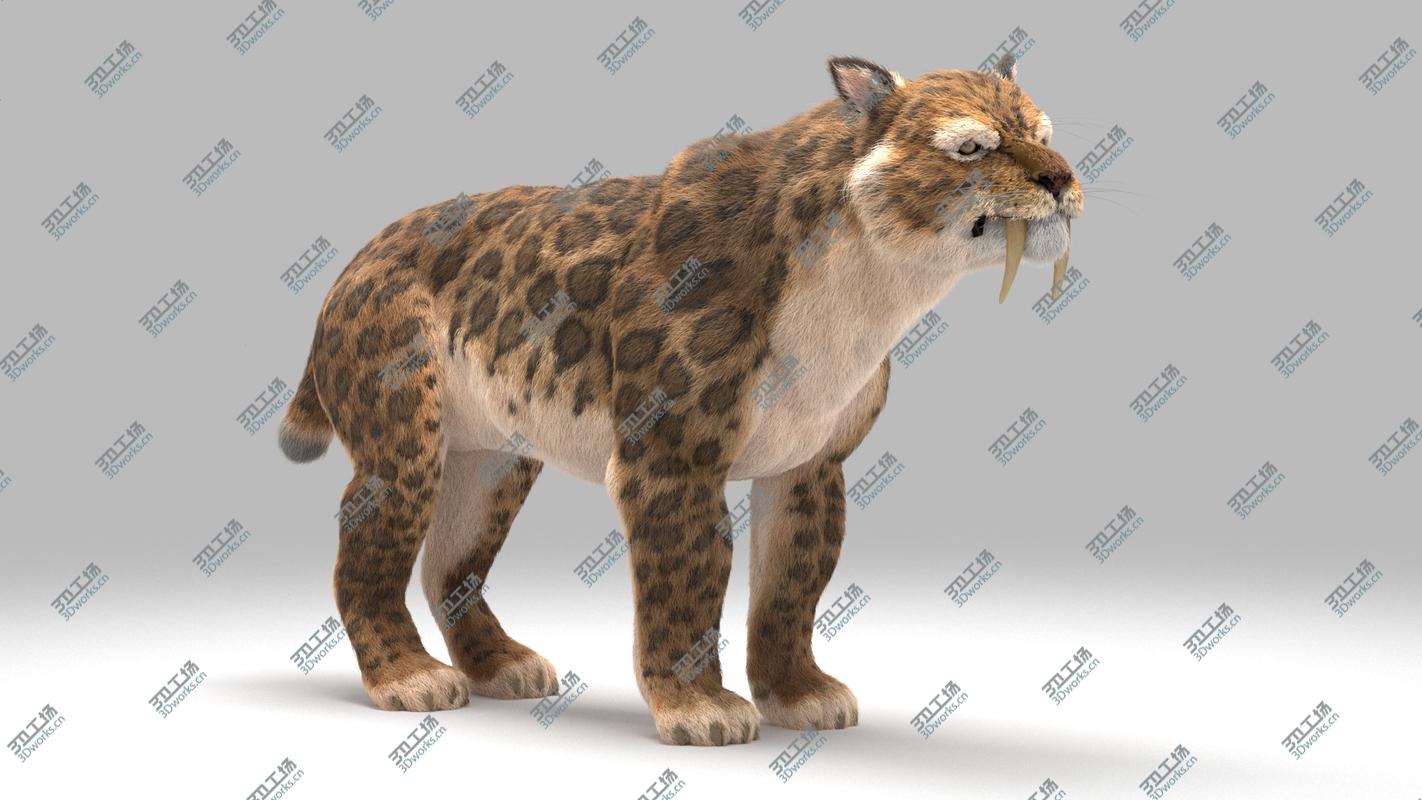 images/goods_img/2021040231/Smilodon Populator 3D model/5.jpg